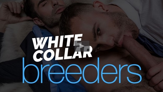 white collar breeders movie trailer