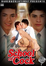 School Of Cock