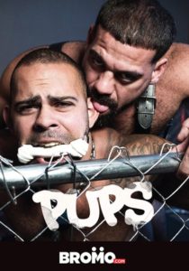 Pups DVD (2019) Bromo Studios