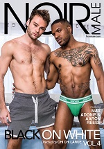 gay porn new releases - Black on White 4 DVD