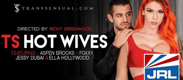 free porn - TransSensual - TS Hot Wives DVD