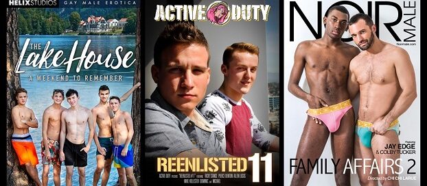 Gay Adult Movies Coming Soon to DVD and VOD-2020-10-12-jrl-charts
