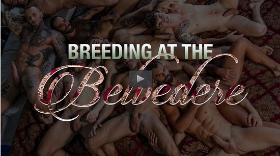 Breeding at the Belvedere-DVD-gay-porn-movie-trailer
