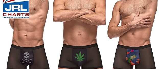 Male Power Apparel-Release its 'Picture Perfect Underwear' Line-2020-12-04-jrl-charts