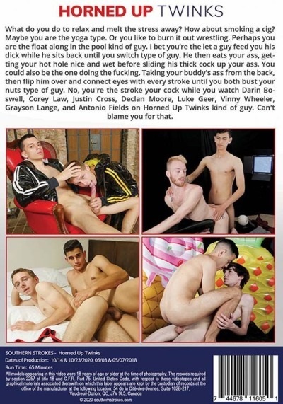 Horned Up Twinks DVD-bak-cover-Southern-Strokes