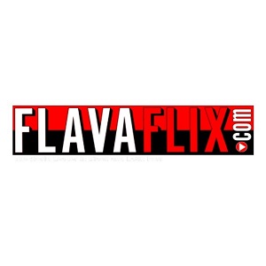 Flava Works Logo 2022