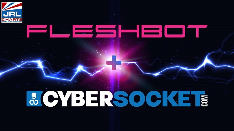 gay porn biz-NSFW Army-Cybersocket-merger-Fleshbot Gay-jrlchartsdotcom